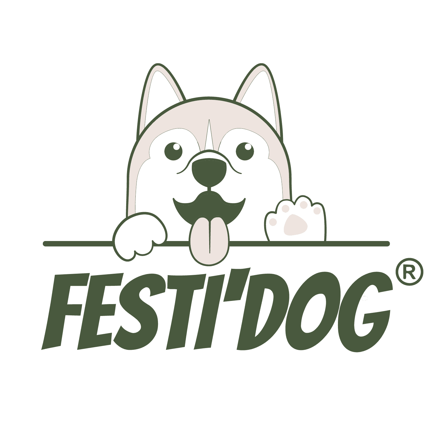 Création de l’Identité Visuelle pour le Festidog : Premier Festival Landais dédié aux Chiens